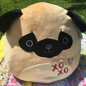 Pam the Pug Squishmallow 16in 2018 vday edition